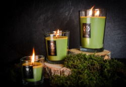 Ароматическая свеча Ancient oakwoods / Древние дубы, 90гр.