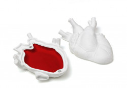 Шкатулка Seletti "Любовь в коробке / Love in a box" L190